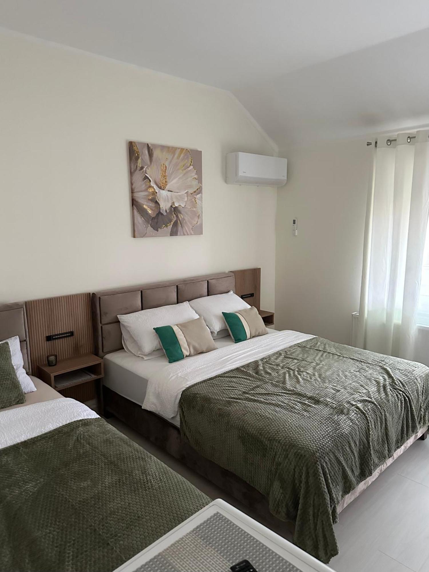 Villa Oaza Fehértemplom Kültér fotó